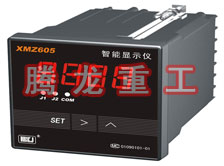 溫度表、數(shù)字顯示儀、濕度表